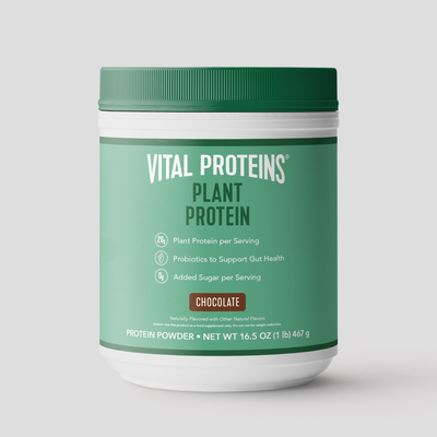 |PBPCH20X| Plant Protein Chocolate 