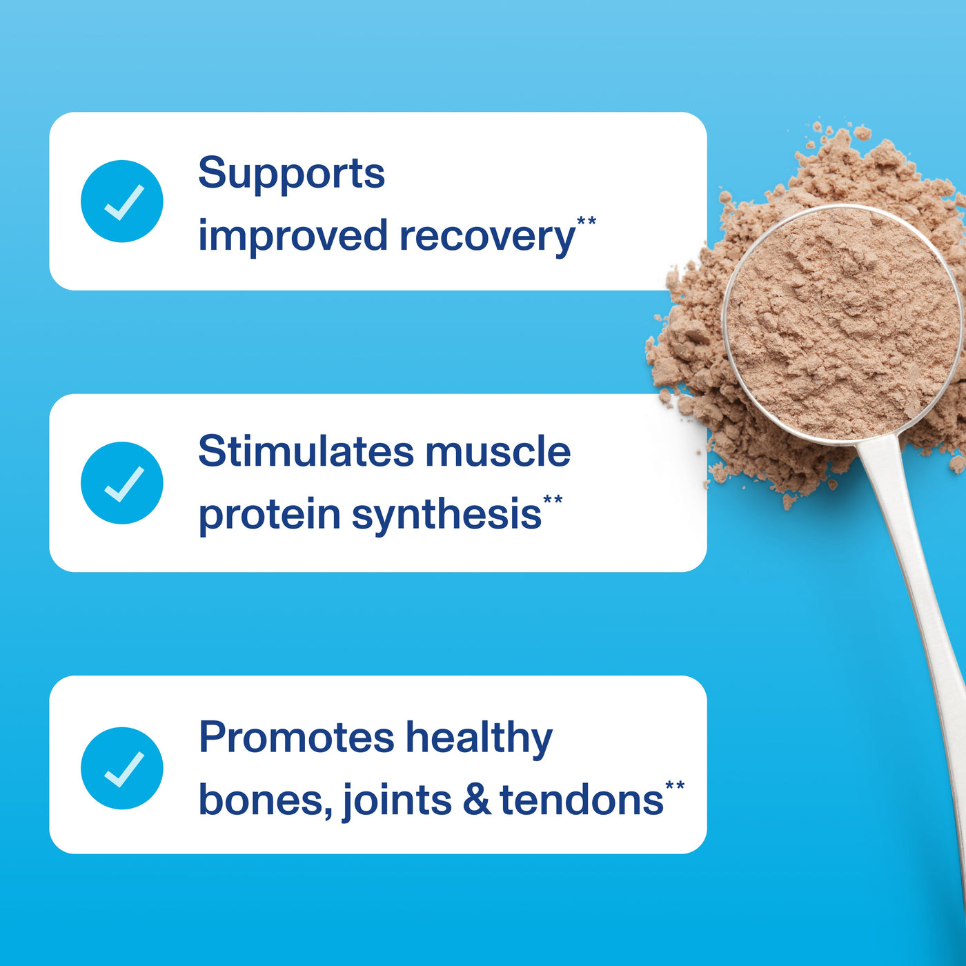 Vital Performance™ Protein Powder