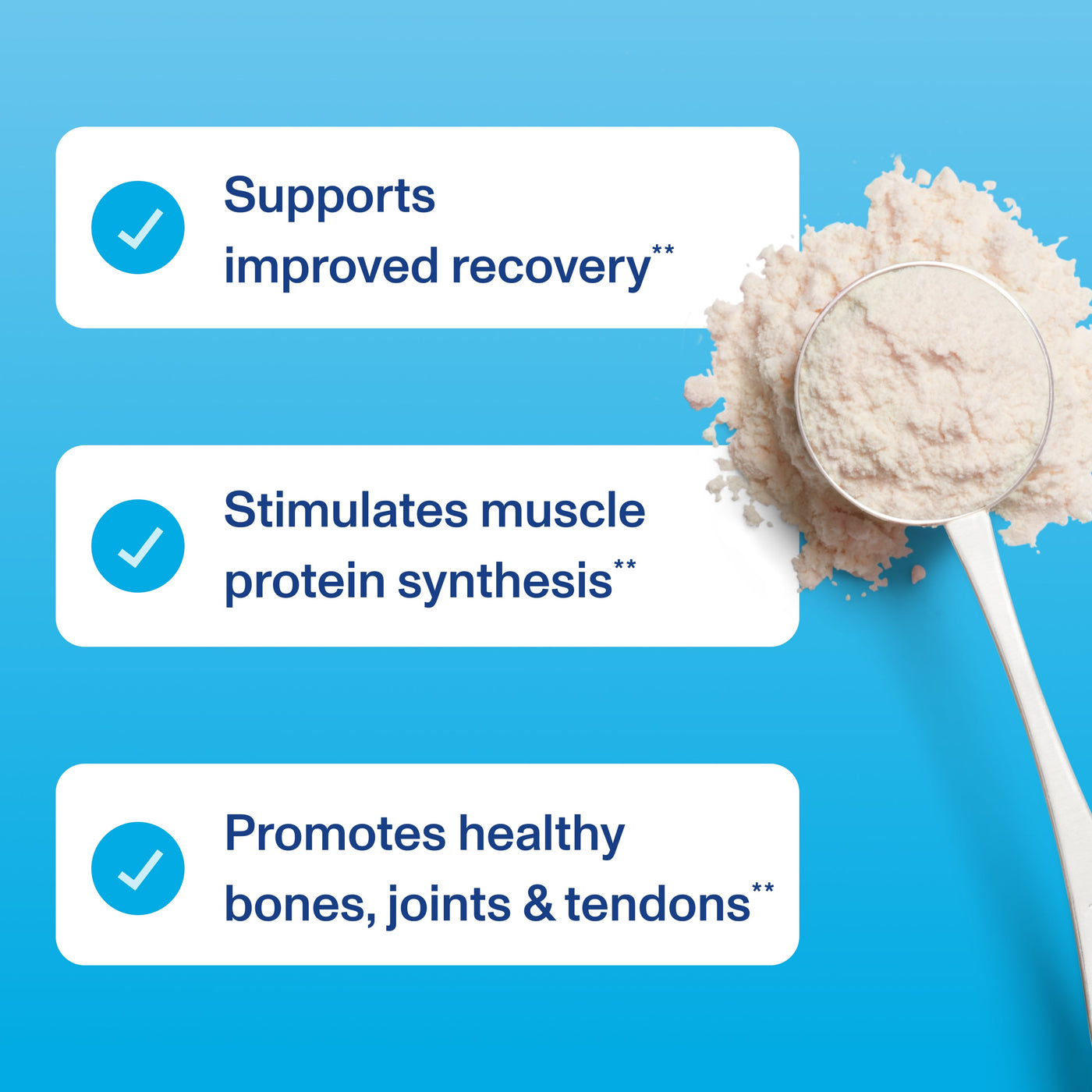 Vital Performance™ Protein Powder