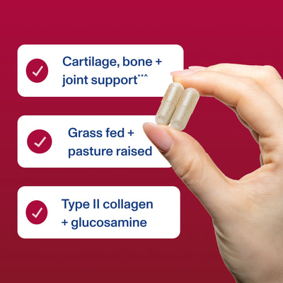 Cartilage Collagen - Capsules