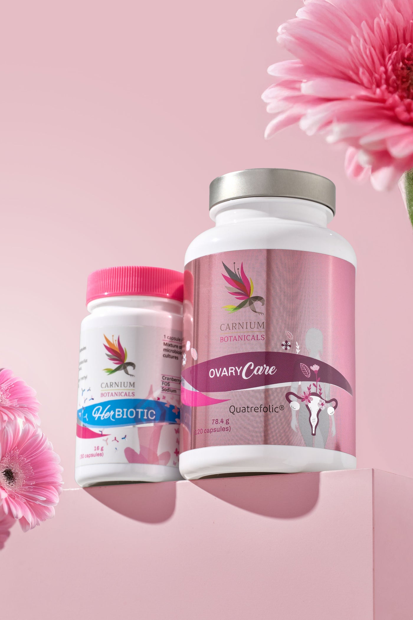 Paket: "Reproduktive Gesundheit": Her Biotic + Ovary Care -10%